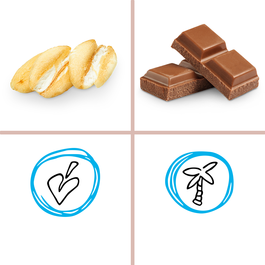 ovesne-vlocky_cokolada